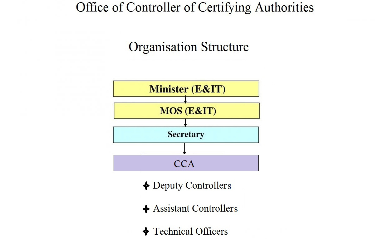 Organization Structure